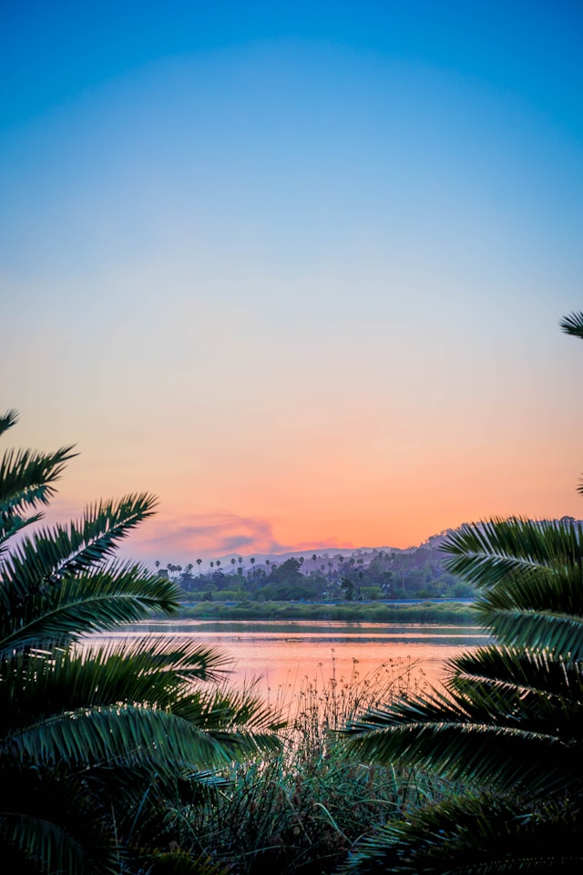 Fotógrafo profesional